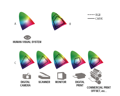 Colour Management: What Is It Important and Why You Need It