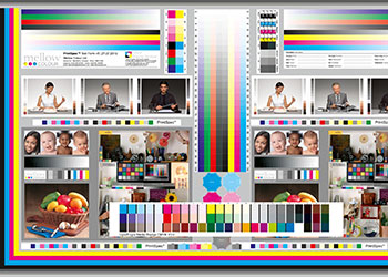 Colour health check